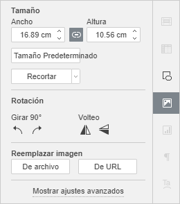 Ventana Ajustes de imagen Panel derecho