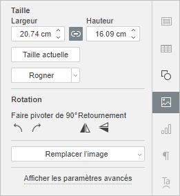 Fenêtre Paramètres de l'image du panneau latéral droit