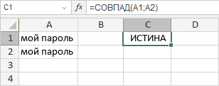 Функция СОВПАД: ИСТИНА