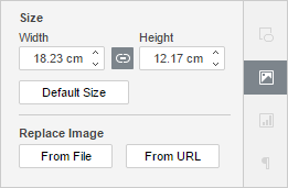 Image Settings Right-Side Panel window