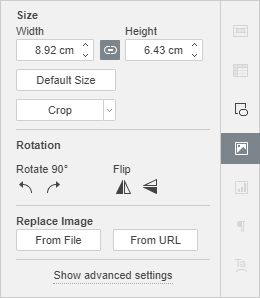 Image Settings Right-Side Panel window