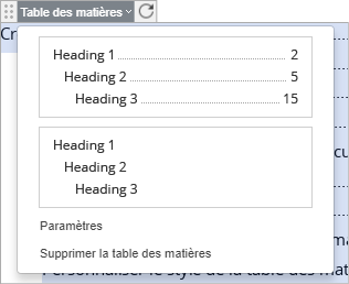 Options de la table des matières